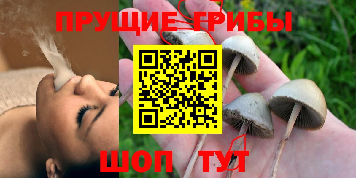 Галлюциногенные грибы Cubensis  Вход с VPN  Псилоцибиновые грибы мицелий  Сочи 