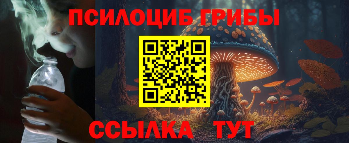 Галлюциногенные грибы прущие грибы Сочи